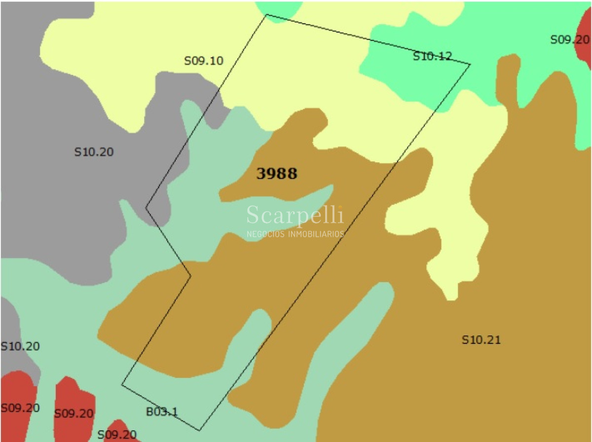 Campo Ref.34048 - ARTIGAS VENTA CAMPO 320 Hás  Próximo Bella Union