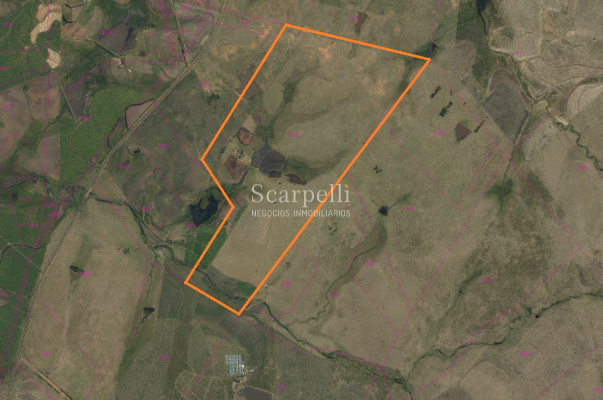 Campo Ref.34048 - ARTIGAS VENTA CAMPO 320 Hás  Próximo Bella Union