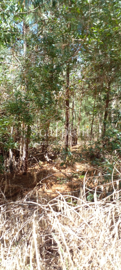 Campo Ref.34841 - VENTA CAMPO CERRO LARGO PROXIMO A MELO