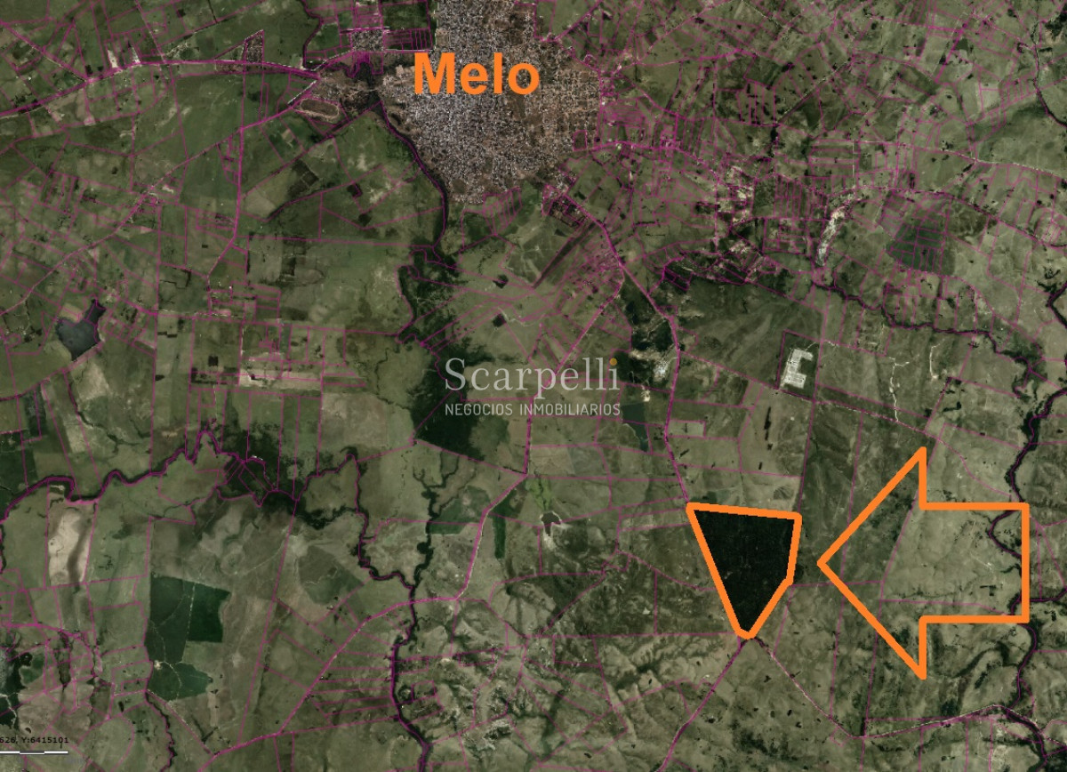 Campo Ref.34841 - VENTA CAMPO CERRO LARGO PROXIMO A MELO