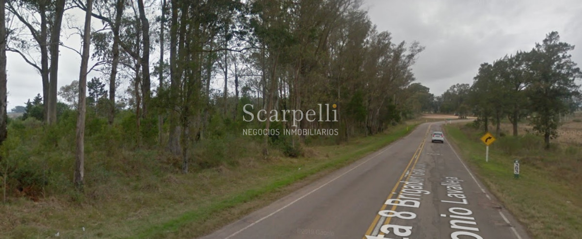 Campo Ref.34841 - VENTA CAMPO CERRO LARGO PROXIMO A MELO