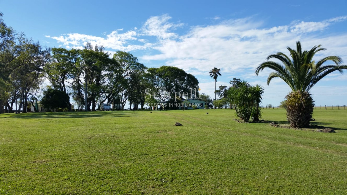 Campo Ref.35740 - VENTA CAMPO ARTIGAS EN LÍMITE CON SALTO MUY PRÓXIMO TERMAS DEL ARAPEY