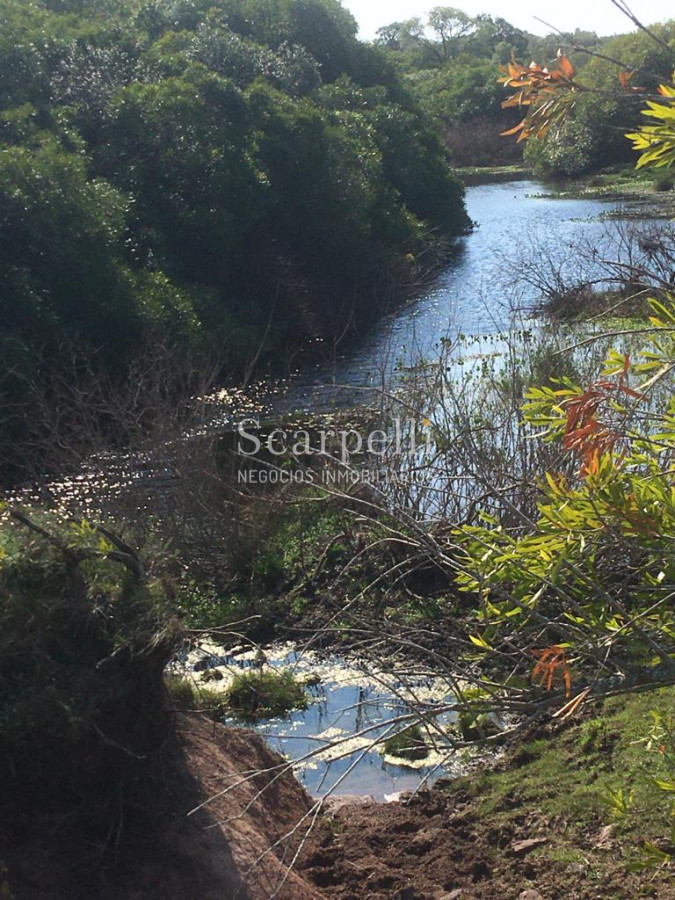 Campo Ref.35740 - VENTA CAMPO ARTIGAS EN LÍMITE CON SALTO MUY PRÓXIMO TERMAS DEL ARAPEY