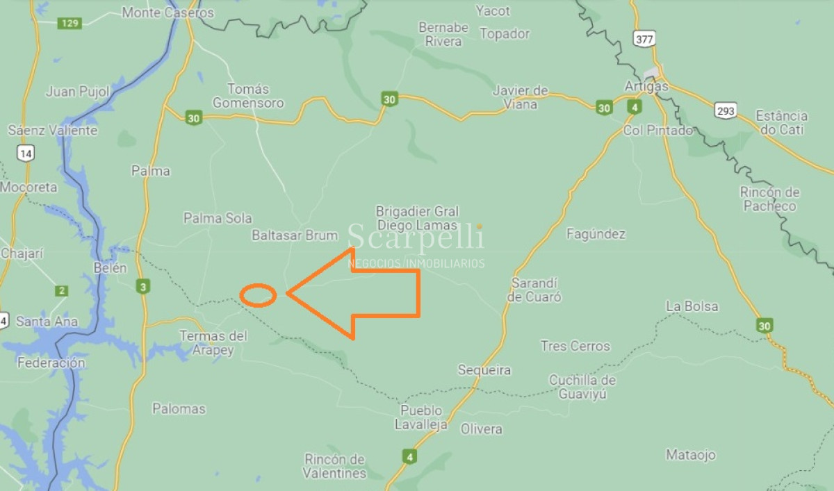 Campo Ref.35740 - VENTA CAMPO ARTIGAS EN LÍMITE CON SALTO MUY PRÓXIMO TERMAS DEL ARAPEY