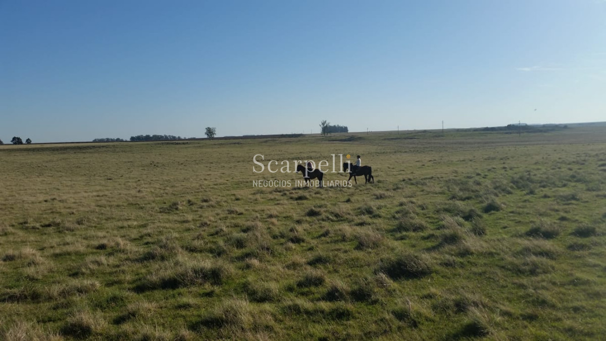 Campo Ref.35740 - VENTA CAMPO ARTIGAS EN LÍMITE CON SALTO MUY PRÓXIMO TERMAS DEL ARAPEY