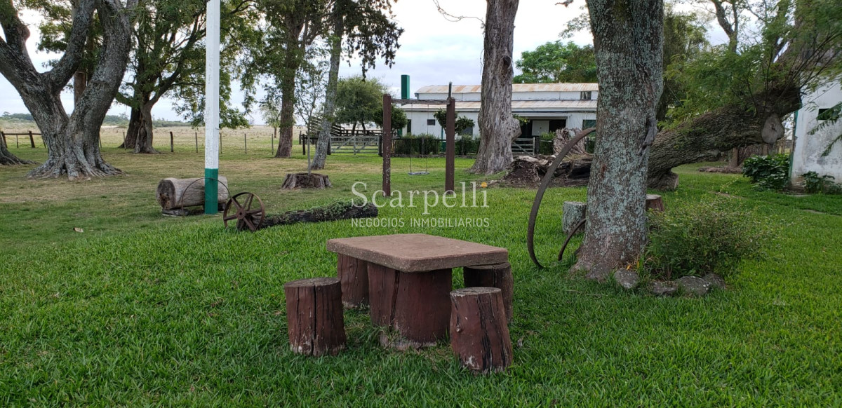 Campo Ref.35740 - VENTA CAMPO ARTIGAS EN LÍMITE CON SALTO MUY PRÓXIMO TERMAS DEL ARAPEY
