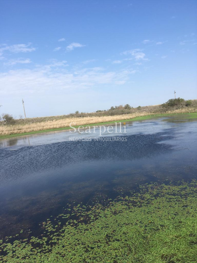 Campo Ref.35740 - VENTA CAMPO ARTIGAS EN LÍMITE CON SALTO MUY PRÓXIMO TERMAS DEL ARAPEY