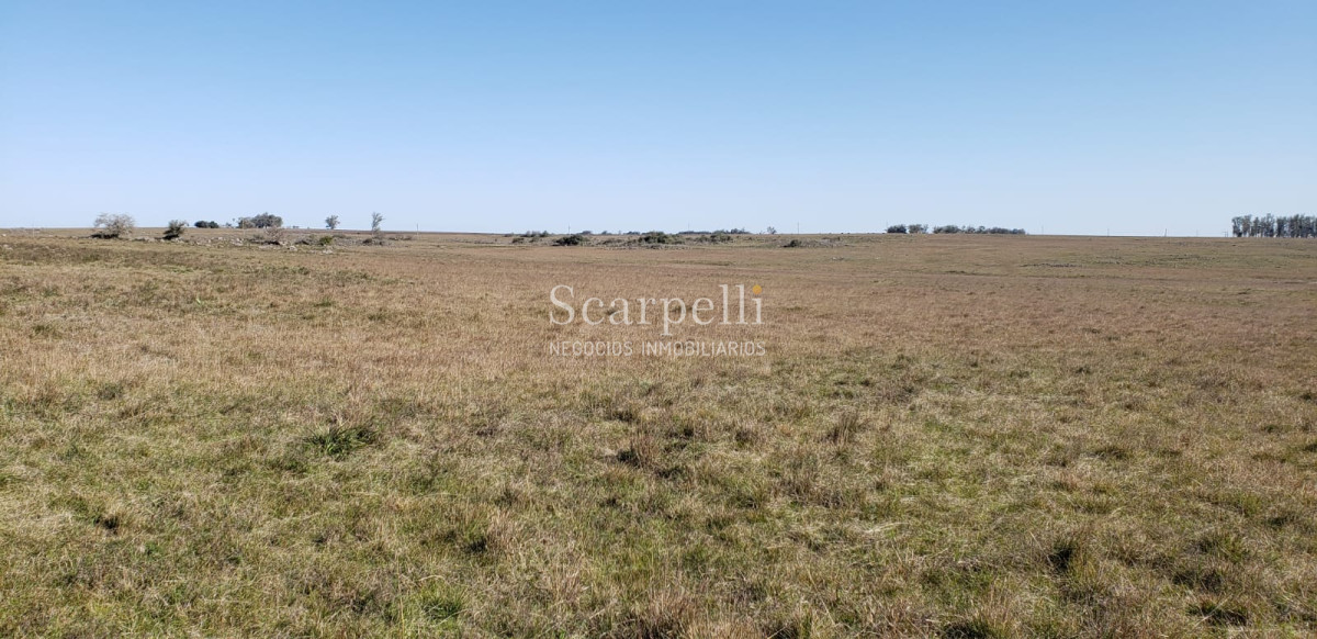 Campo Ref.35740 - VENTA CAMPO ARTIGAS EN LÍMITE CON SALTO MUY PRÓXIMO TERMAS DEL ARAPEY