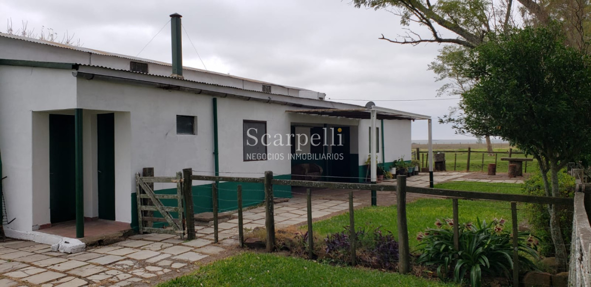 Campo Ref.35740 - VENTA CAMPO ARTIGAS EN LÍMITE CON SALTO MUY PRÓXIMO TERMAS DEL ARAPEY