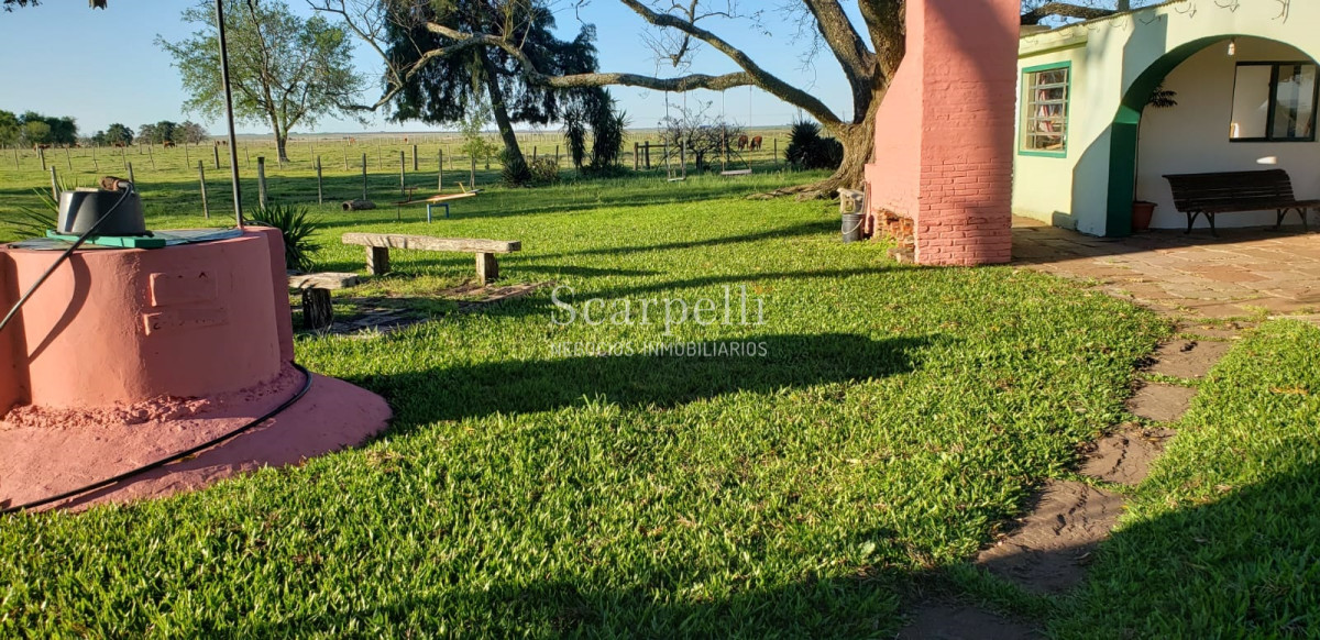 Campo Ref.35740 - VENTA CAMPO ARTIGAS EN LÍMITE CON SALTO MUY PRÓXIMO TERMAS DEL ARAPEY