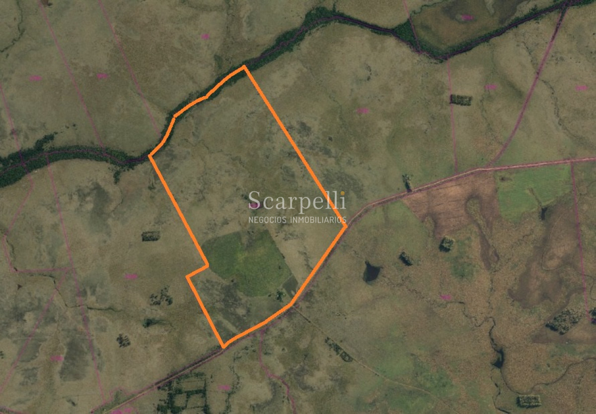 Campo Ref.35740 - VENTA CAMPO ARTIGAS EN LÍMITE CON SALTO MUY PRÓXIMO TERMAS DEL ARAPEY