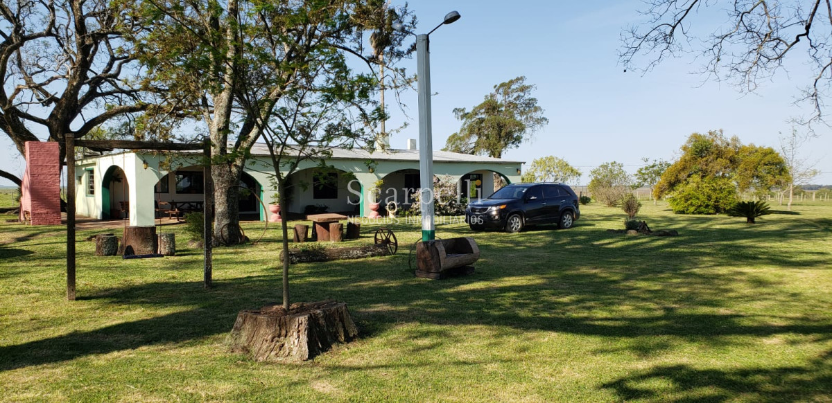 Campo Ref.35740 - VENTA CAMPO ARTIGAS EN LÍMITE CON SALTO MUY PRÓXIMO TERMAS DEL ARAPEY