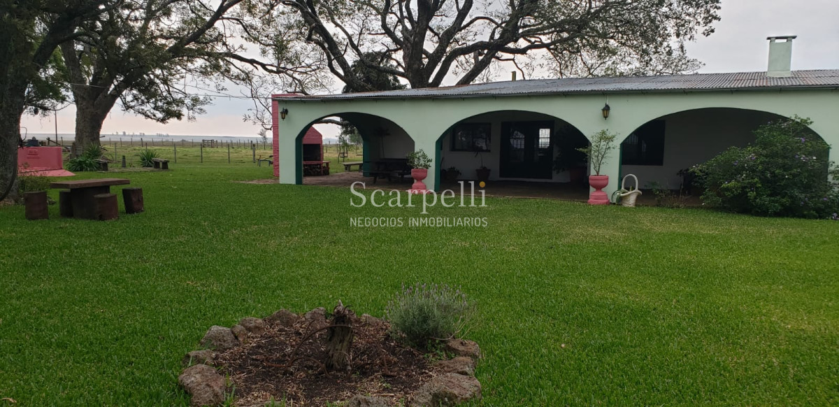 Campo Ref.35740 - VENTA CAMPO ARTIGAS EN LÍMITE CON SALTO MUY PRÓXIMO TERMAS DEL ARAPEY