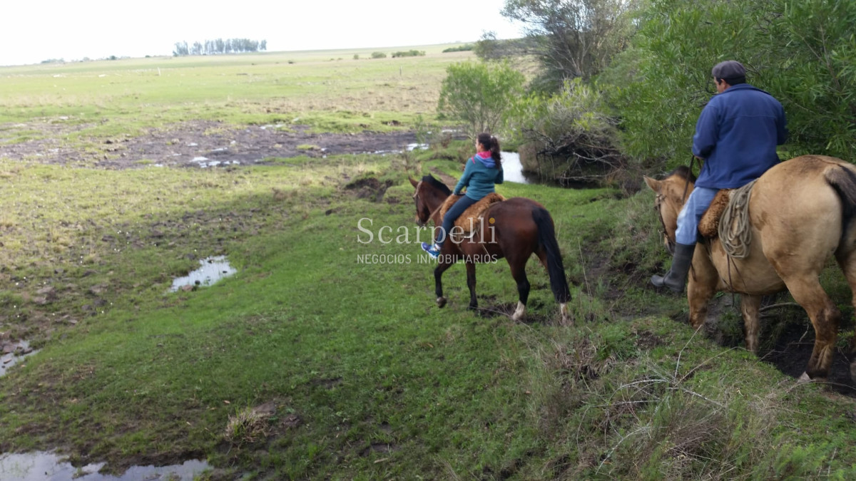 Campo Ref.35740 - VENTA CAMPO ARTIGAS EN LÍMITE CON SALTO MUY PRÓXIMO TERMAS DEL ARAPEY