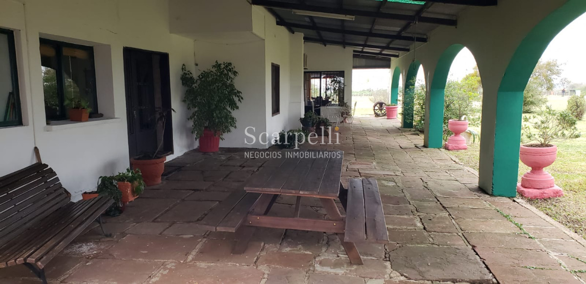 Campo Ref.35740 - VENTA CAMPO ARTIGAS EN LÍMITE CON SALTO MUY PRÓXIMO TERMAS DEL ARAPEY