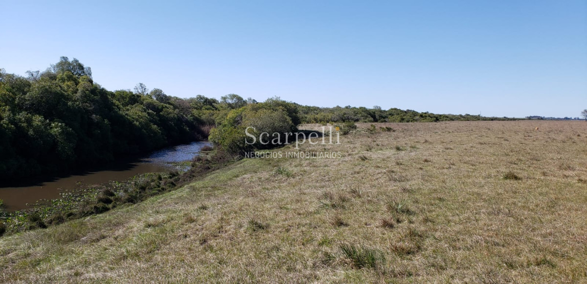 Campo Ref.35740 - VENTA CAMPO ARTIGAS EN LÍMITE CON SALTO MUY PRÓXIMO TERMAS DEL ARAPEY