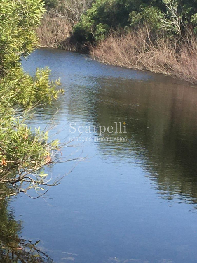 Campo Ref.35740 - VENTA CAMPO ARTIGAS EN LÍMITE CON SALTO MUY PRÓXIMO TERMAS DEL ARAPEY