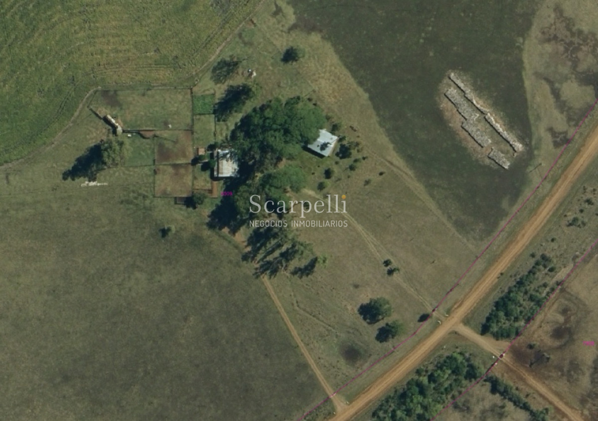 Campo Ref.35740 - VENTA CAMPO ARTIGAS EN LÍMITE CON SALTO MUY PRÓXIMO TERMAS DEL ARAPEY