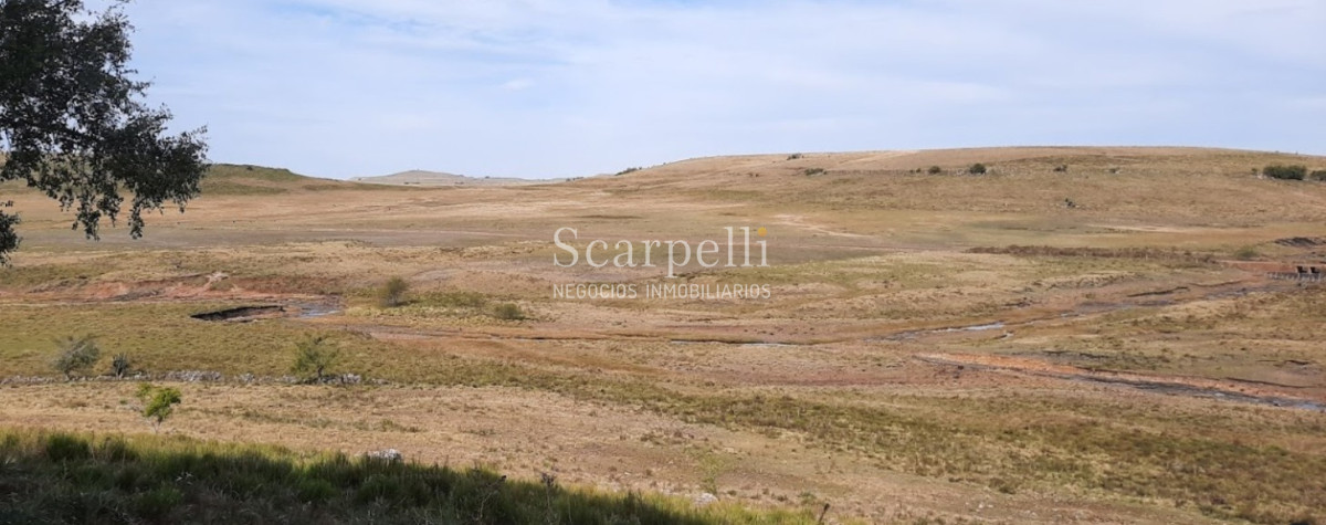 Campo Ref.39145 - OPORTUNIDAD DE CAMPO MEDIANO EN SALTO CON IMPORTANTES EXONERACIONES IMPOSITIVAS