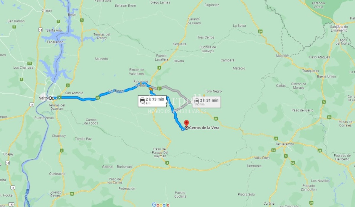 Campo Ref.39145 - OPORTUNIDAD DE CAMPO MEDIANO EN SALTO CON IMPORTANTES EXONERACIONES IMPOSITIVAS