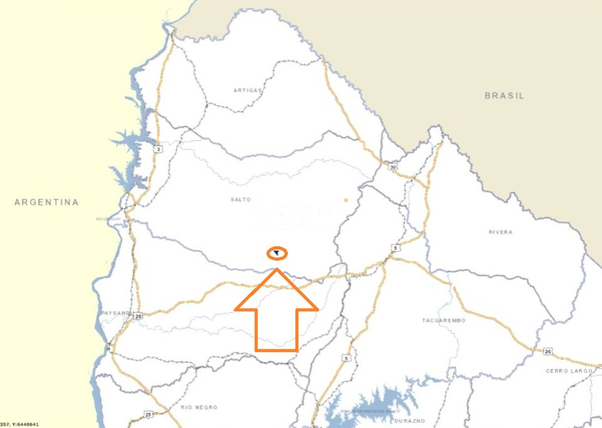 Campo Ref.39145 - OPORTUNIDAD DE CAMPO MEDIANO EN SALTO CON IMPORTANTES EXONERACIONES IMPOSITIVAS