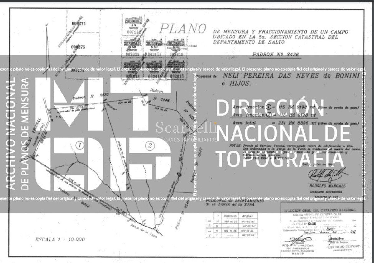 Campo Ref.39145 - OPORTUNIDAD DE CAMPO MEDIANO EN SALTO CON IMPORTANTES EXONERACIONES IMPOSITIVAS