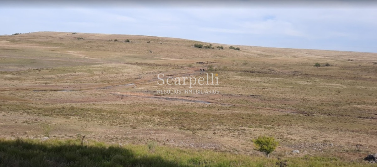 Campo Ref.39145 - OPORTUNIDAD DE CAMPO MEDIANO EN SALTO CON IMPORTANTES EXONERACIONES IMPOSITIVAS