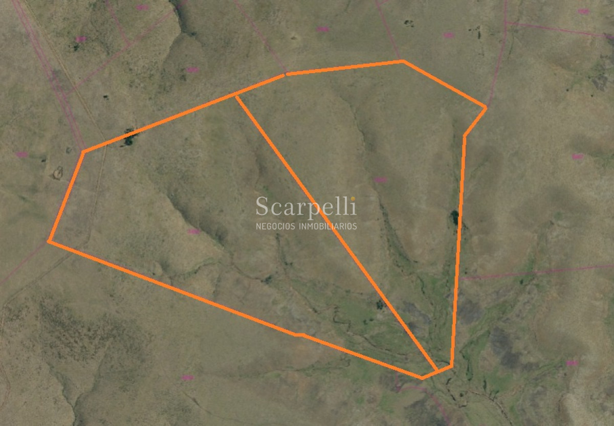 Campo Ref.39145 - OPORTUNIDAD DE CAMPO MEDIANO EN SALTO CON IMPORTANTES EXONERACIONES IMPOSITIVAS