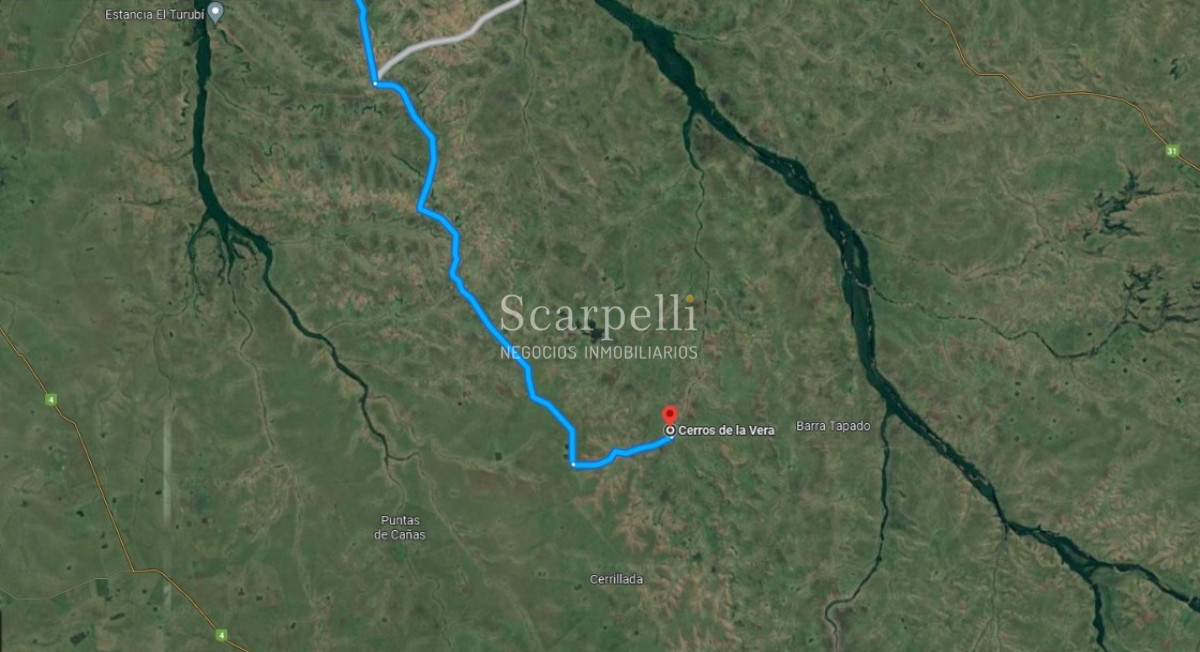 Campo Ref.39145 - OPORTUNIDAD DE CAMPO MEDIANO EN SALTO CON IMPORTANTES EXONERACIONES IMPOSITIVAS