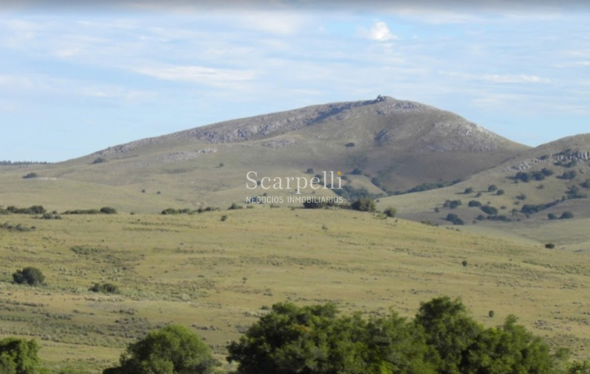 Campo Ref.39145 - OPORTUNIDAD DE CAMPO MEDIANO EN SALTO CON IMPORTANTES EXONERACIONES IMPOSITIVAS