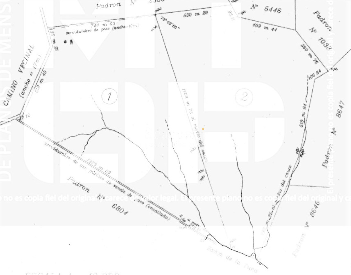 Campo Ref.39145 - OPORTUNIDAD DE CAMPO MEDIANO EN SALTO CON IMPORTANTES EXONERACIONES IMPOSITIVAS