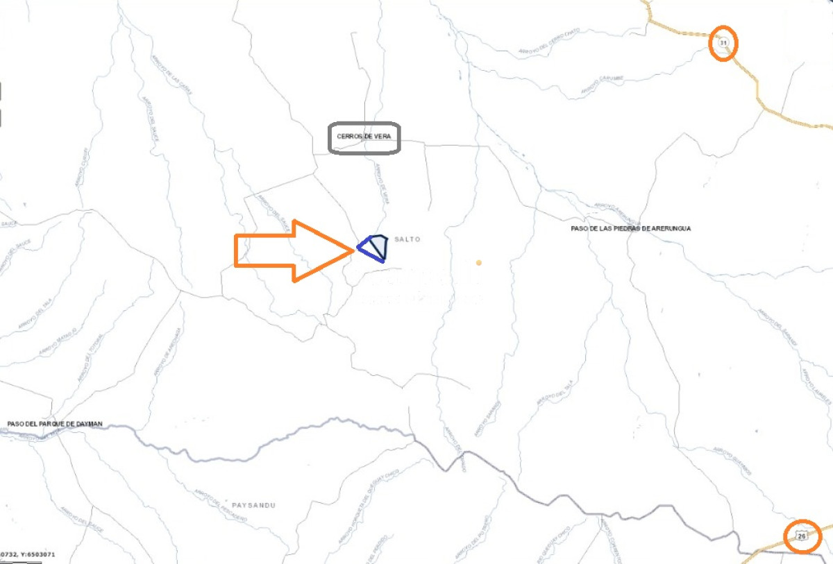 Campo Ref.39145 - OPORTUNIDAD DE CAMPO MEDIANO EN SALTO CON IMPORTANTES EXONERACIONES IMPOSITIVAS
