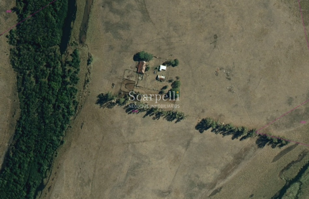 Campo Ref.39420 - VENTA CAMPO ARTIGAS MUY PROLIJO Y COMPLETO PARA TRABAJARLO