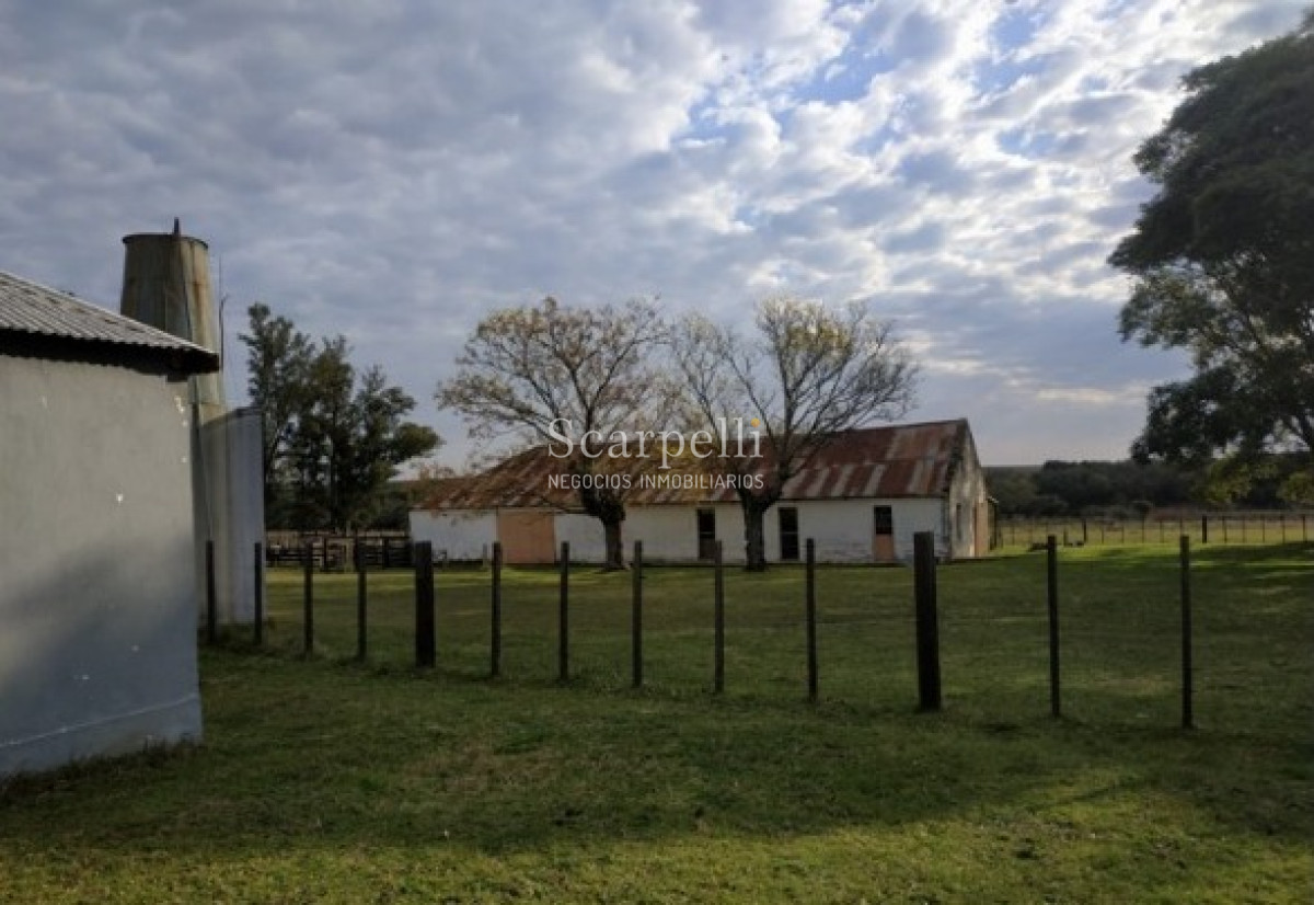 Campo Ref.39420 - VENTA CAMPO ARTIGAS MUY PROLIJO Y COMPLETO PARA TRABAJARLO