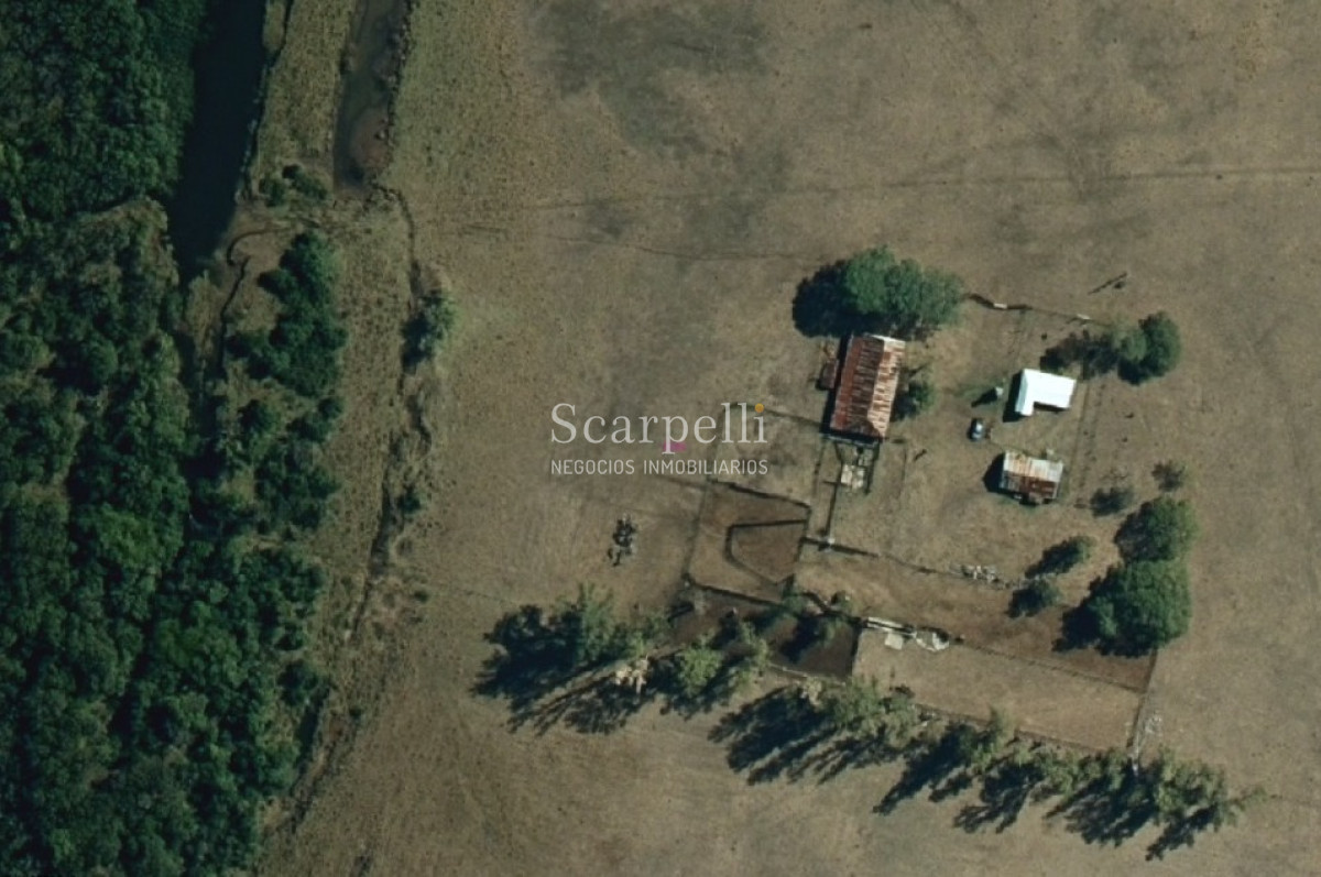 Campo Ref.39420 - VENTA CAMPO ARTIGAS MUY PROLIJO Y COMPLETO PARA TRABAJARLO