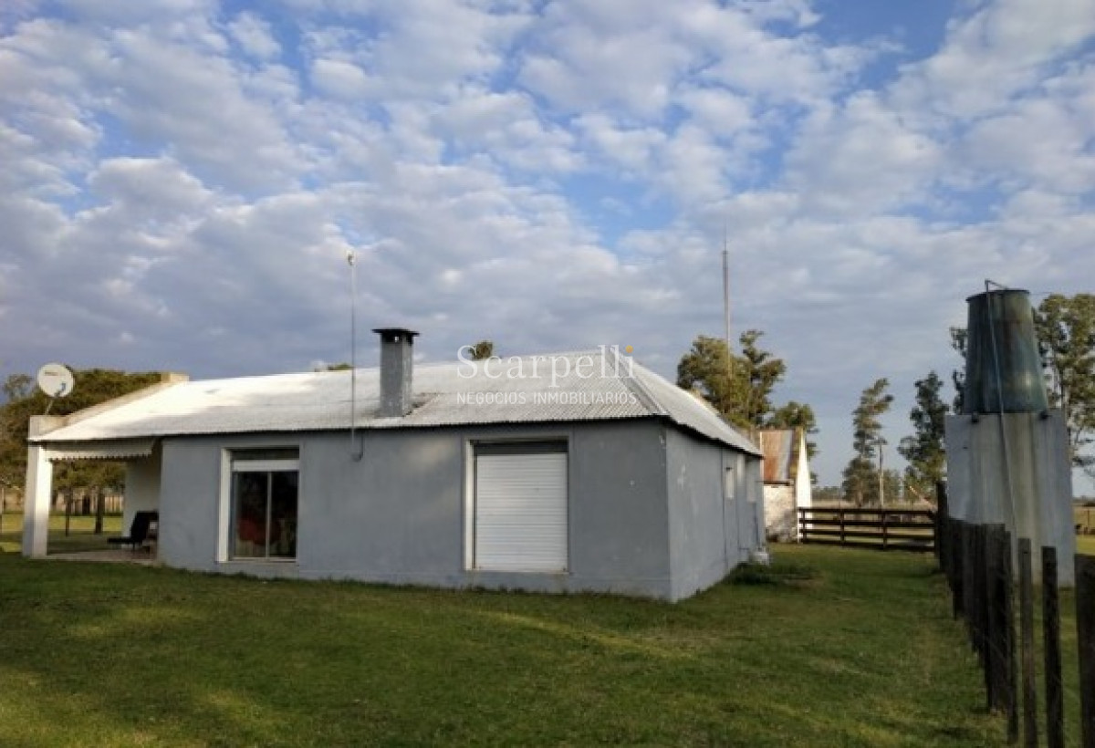 Campo Ref.39420 - VENTA CAMPO ARTIGAS MUY PROLIJO Y COMPLETO PARA TRABAJARLO
