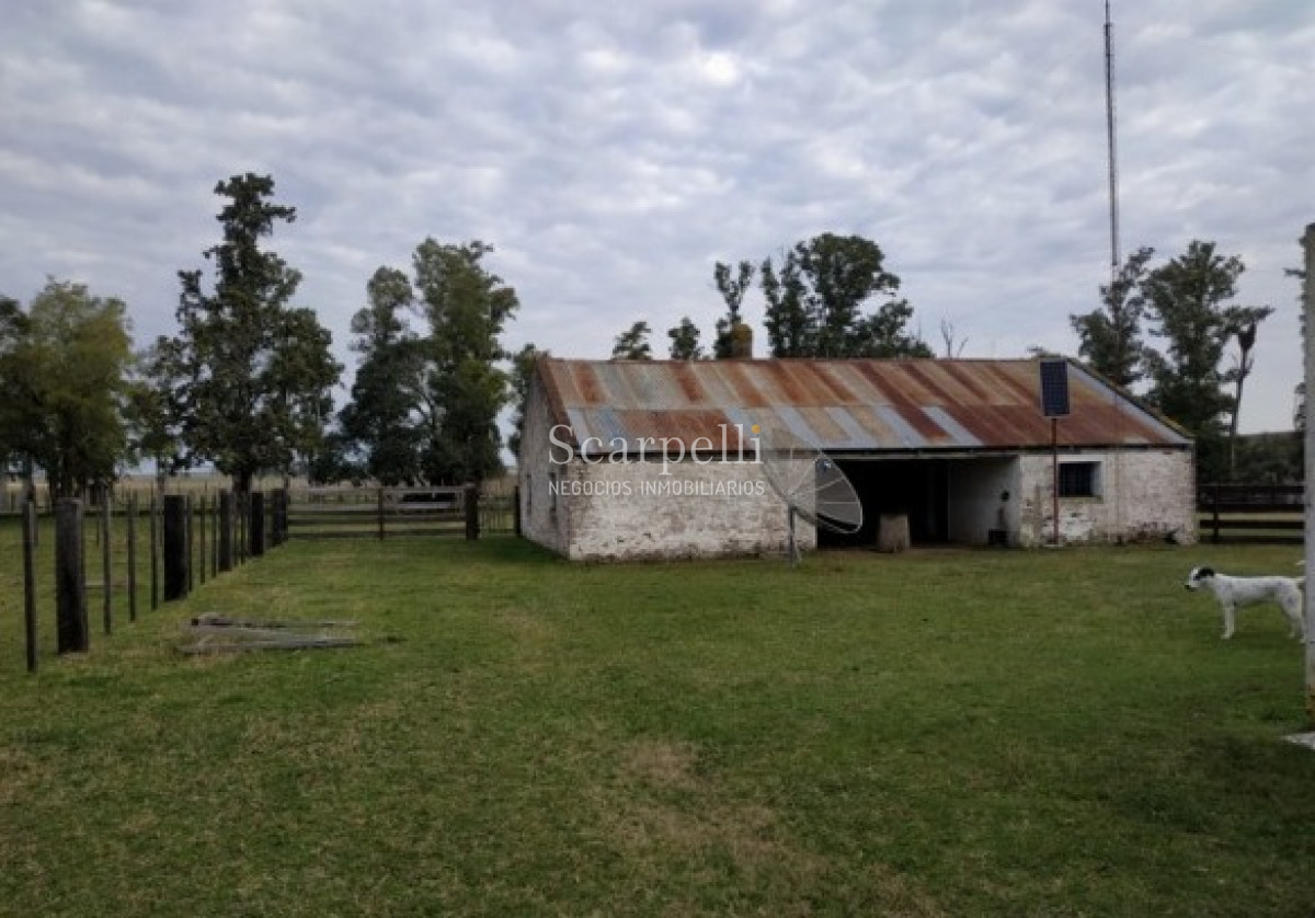 Campo Ref.39420 - VENTA CAMPO ARTIGAS MUY PROLIJO Y COMPLETO PARA TRABAJARLO