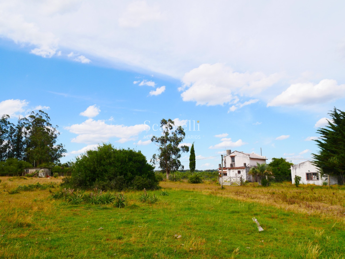 Campo Ref.40596 - VENTA CHACRA MALDONADO CON COSTA AL ARROYO JOSÉ IGNACIO