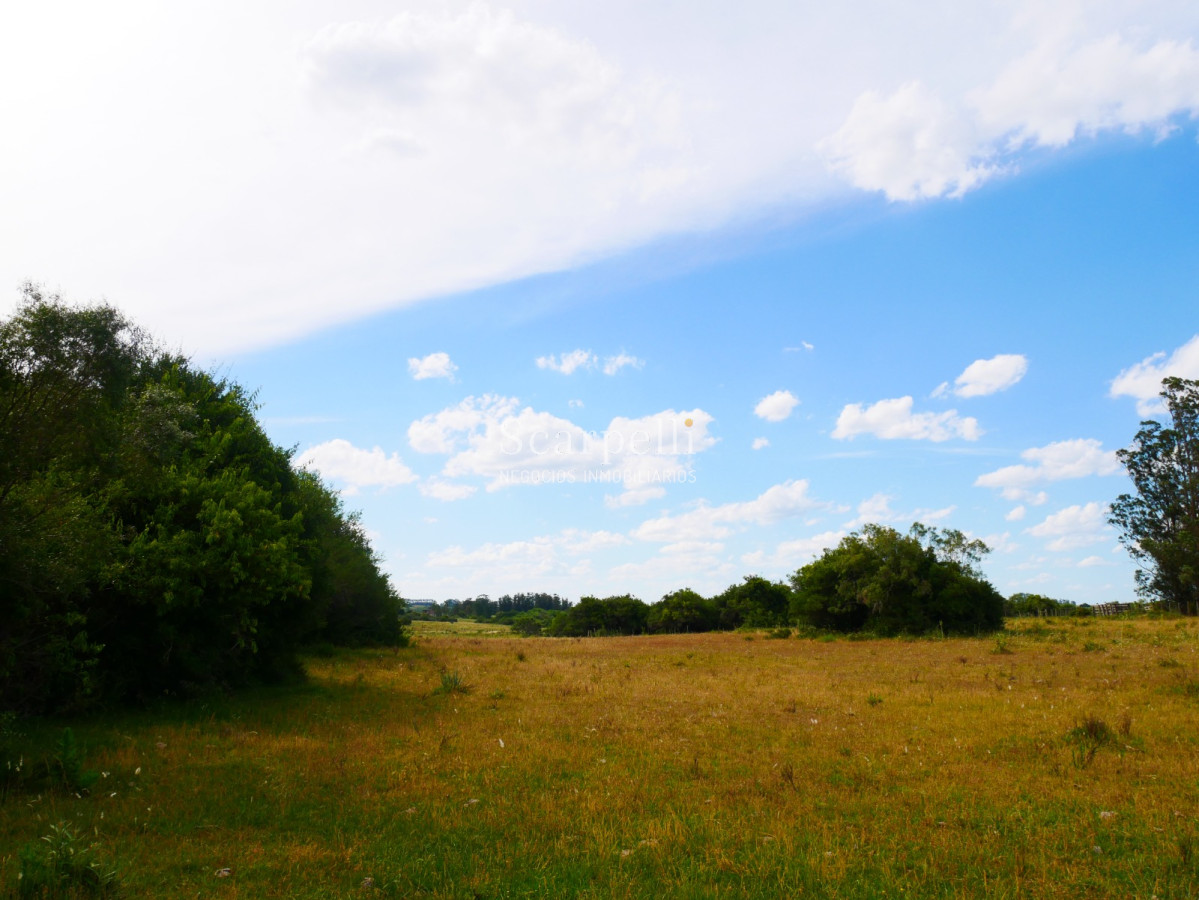 Campo Ref.40596 - VENTA CHACRA MALDONADO CON COSTA AL ARROYO JOSÉ IGNACIO