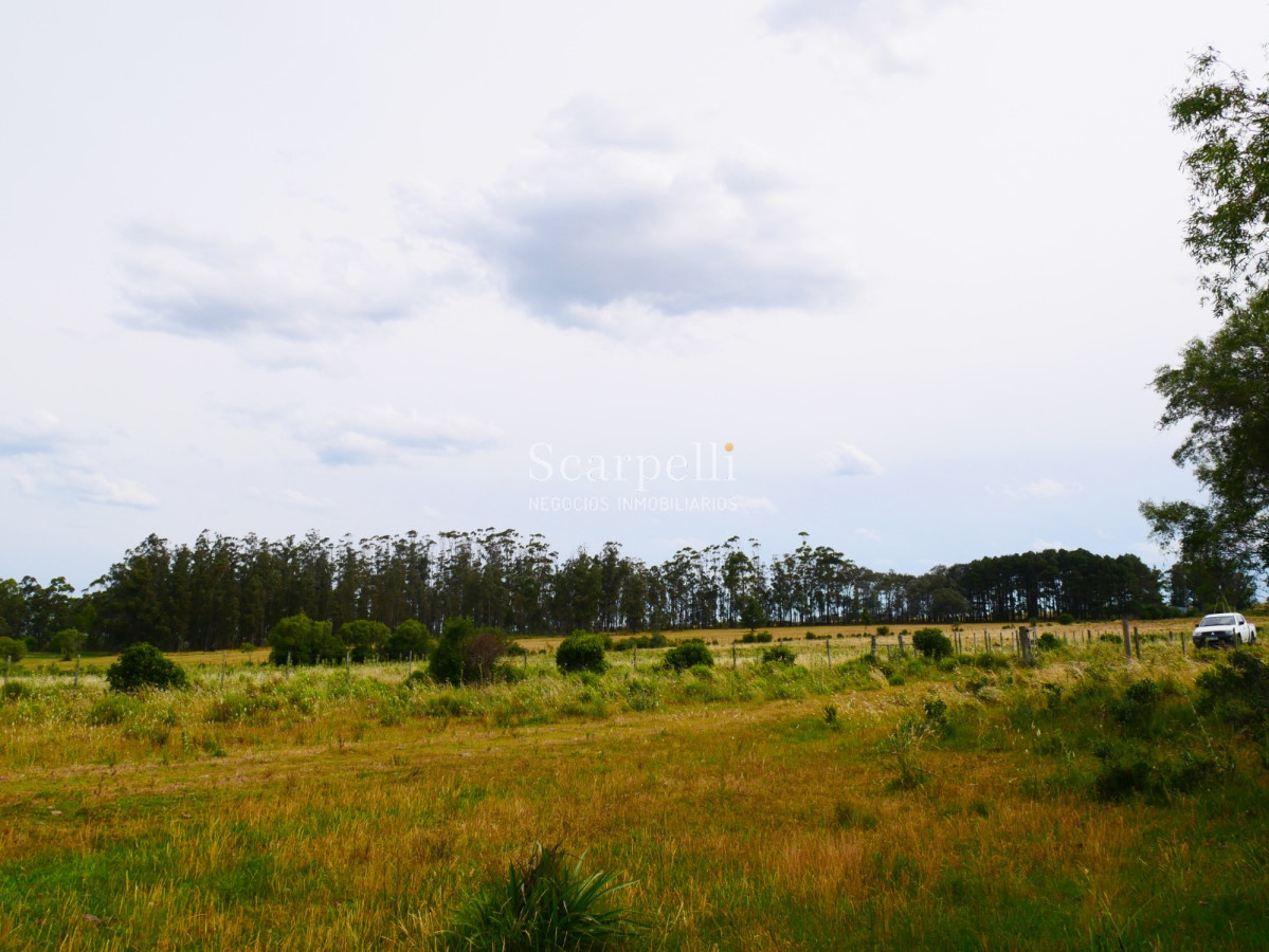 Campo Ref.40596 - VENTA CHACRA MALDONADO CON COSTA AL ARROYO JOSÉ IGNACIO