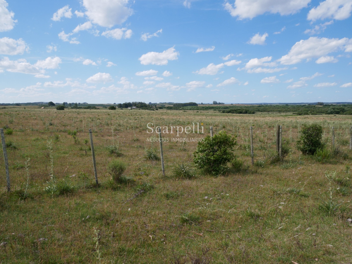 Campo Ref.40596 - VENTA CHACRA MALDONADO CON COSTA AL ARROYO JOSÉ IGNACIO