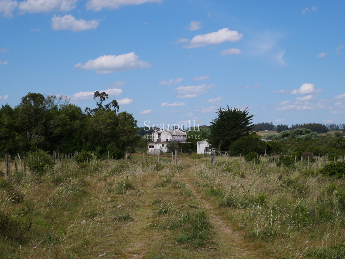 Campo Ref.40596 - VENTA CHACRA MALDONADO CON COSTA AL ARROYO JOSÉ IGNACIO
