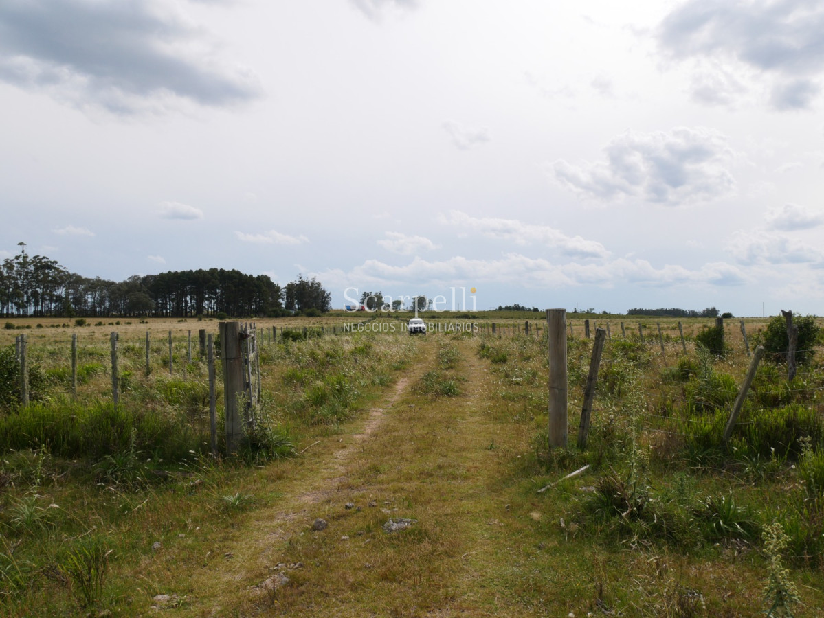 Campo Ref.40596 - VENTA CHACRA MALDONADO CON COSTA AL ARROYO JOSÉ IGNACIO
