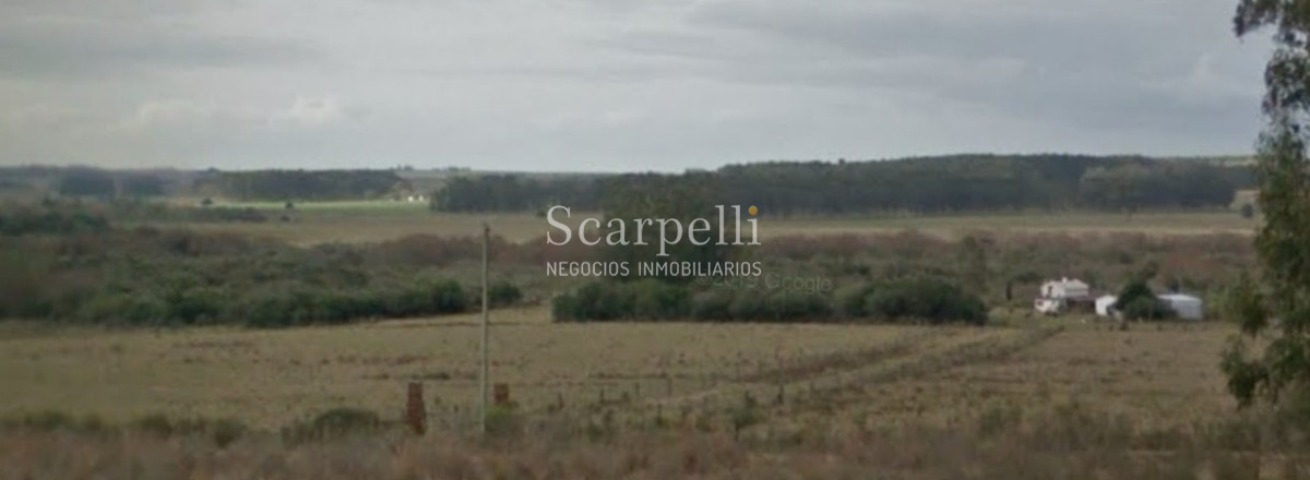 Campo Ref.40596 - VENTA CHACRA MALDONADO CON COSTA AL ARROYO JOSÉ IGNACIO