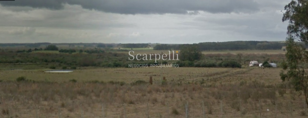 Campo Ref.40596 - VENTA CHACRA MALDONADO CON COSTA AL ARROYO JOSÉ IGNACIO