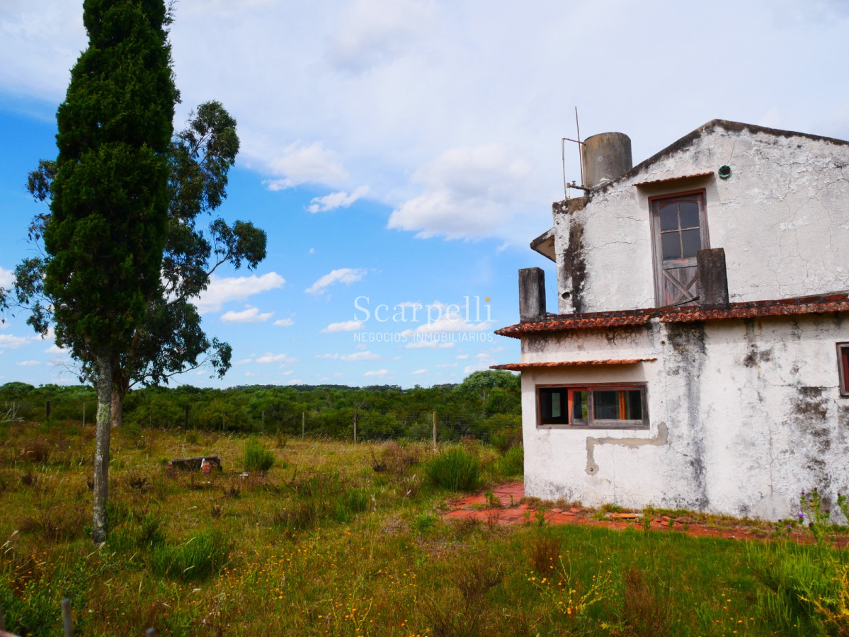 Campo Ref.40596 - VENTA CHACRA MALDONADO CON COSTA AL ARROYO JOSÉ IGNACIO