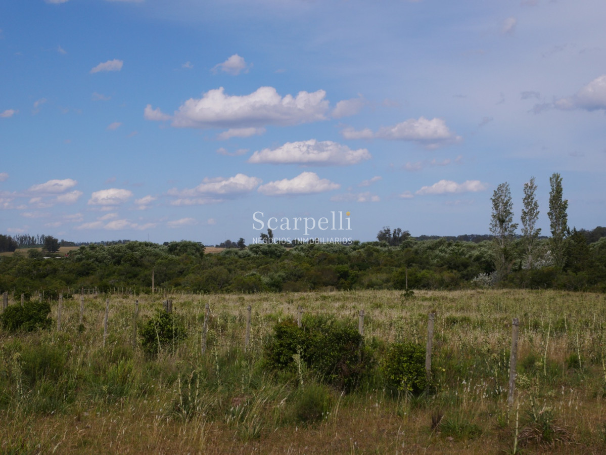 Campo Ref.40596 - VENTA CHACRA MALDONADO CON COSTA AL ARROYO JOSÉ IGNACIO