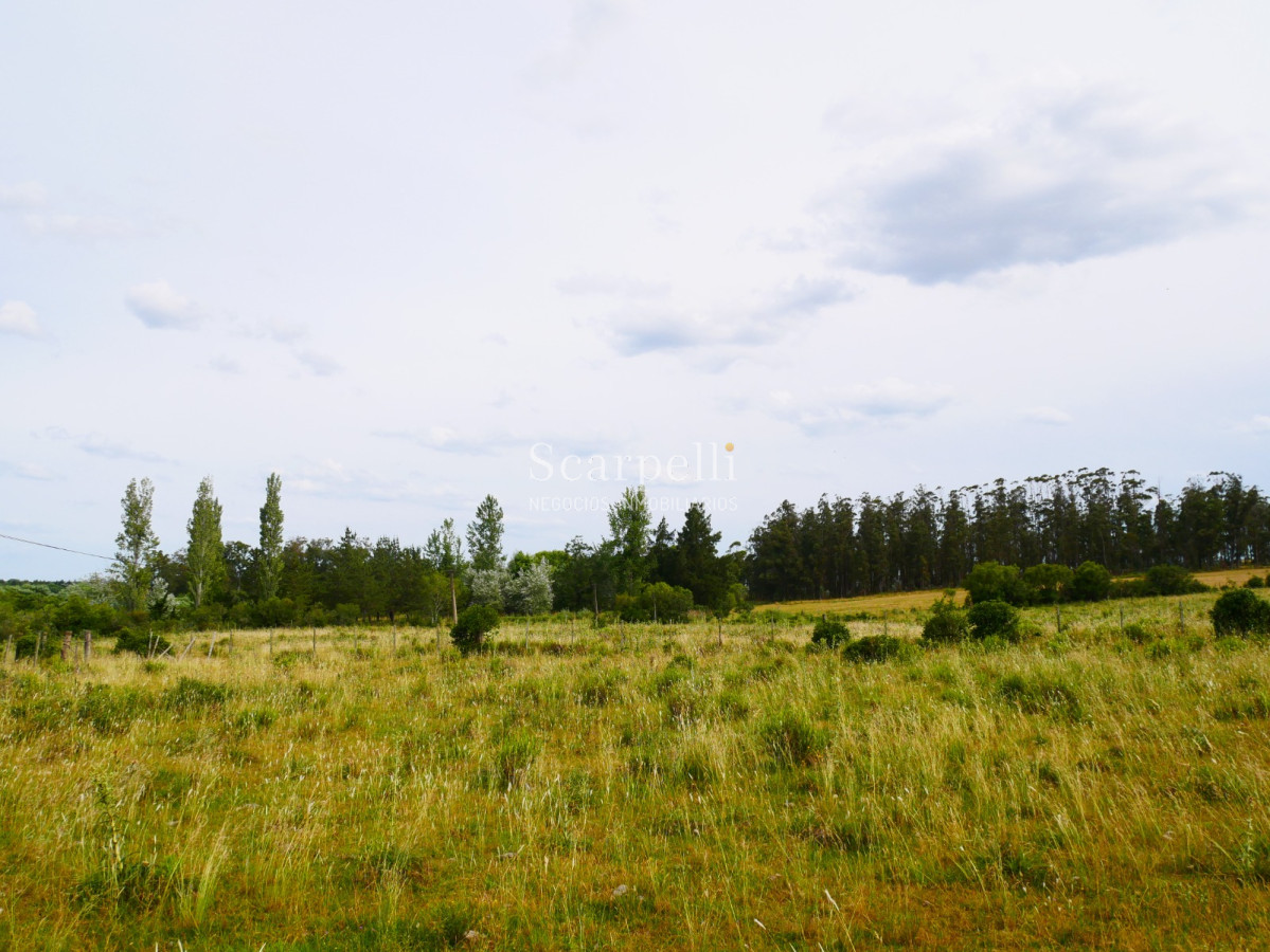 Campo Ref.40596 - VENTA CHACRA MALDONADO CON COSTA AL ARROYO JOSÉ IGNACIO