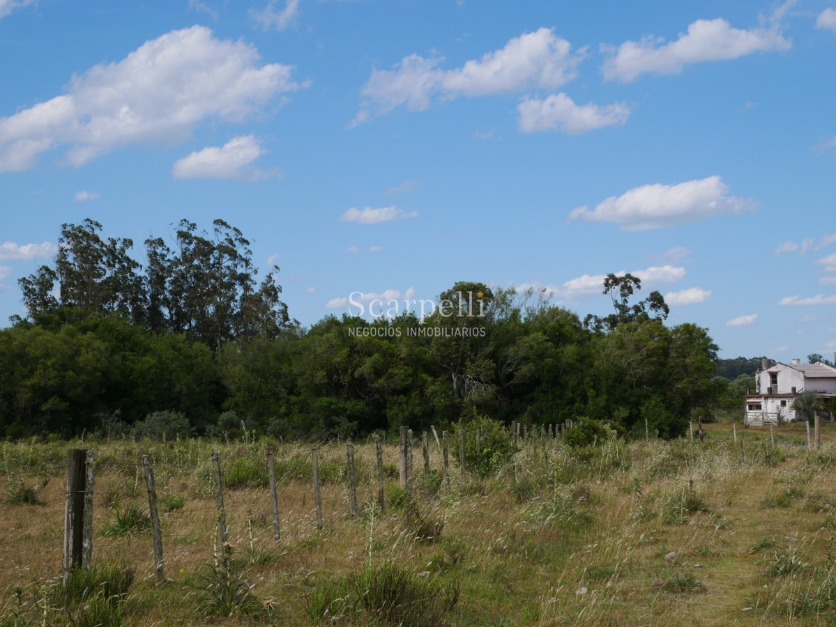 Campo Ref.40596 - VENTA CHACRA MALDONADO CON COSTA AL ARROYO JOSÉ IGNACIO