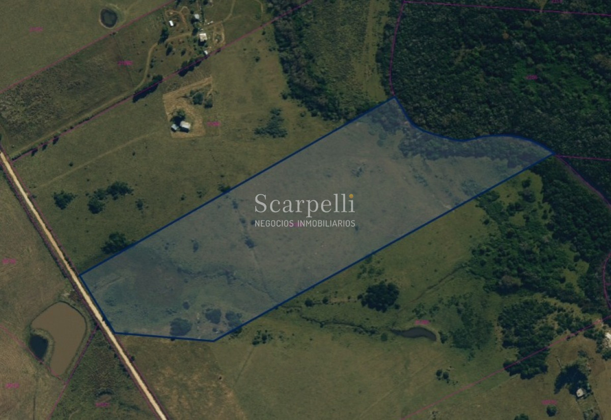 Campo Ref.40596 - VENTA CHACRA MALDONADO CON COSTA AL ARROYO JOSÉ IGNACIO